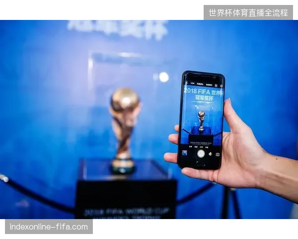 世界杯期间FIFA赞助商如何将场内屏显直接转化为独立电商订单 世界杯期间FIFA赞助商如何将场内屏显直接转化为独立电商订单